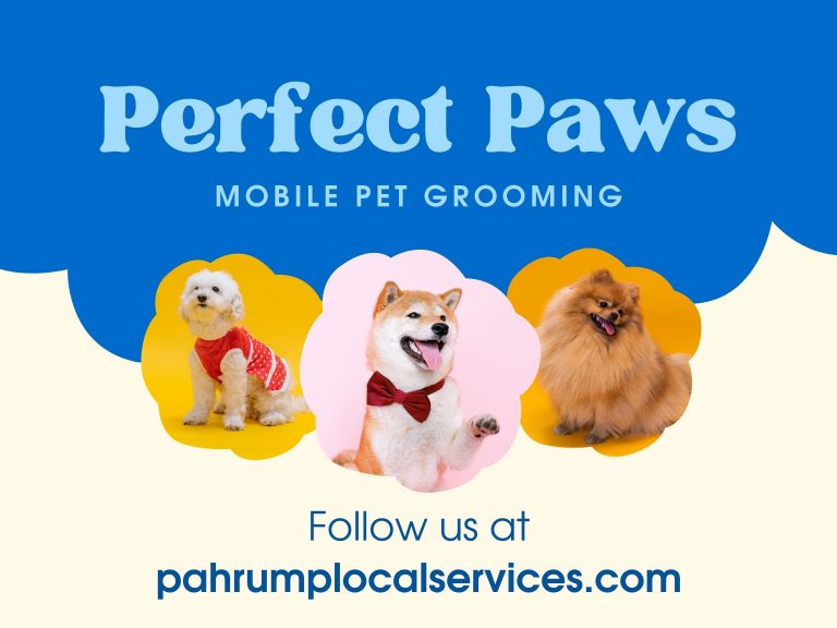 Pahrump Pet Salon Grooming Car Magnet