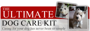 The Ultimate Dog Care Kit