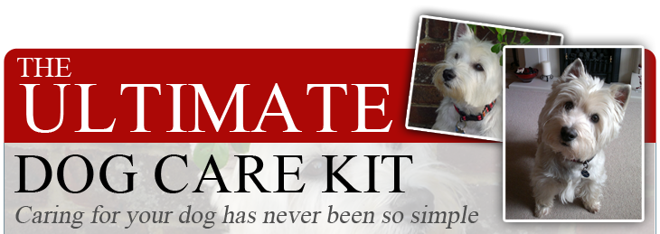 Learn How to Make Sure Your Dog Lives to His or Her Full Potential of Life